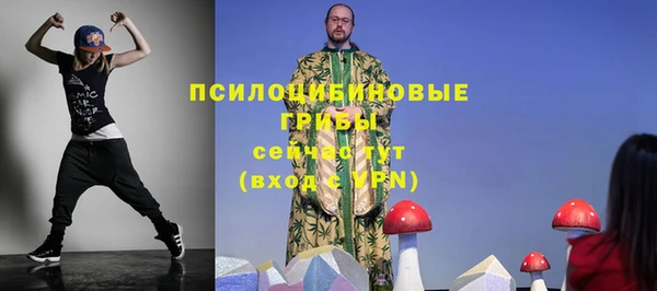 сатива Аркадак