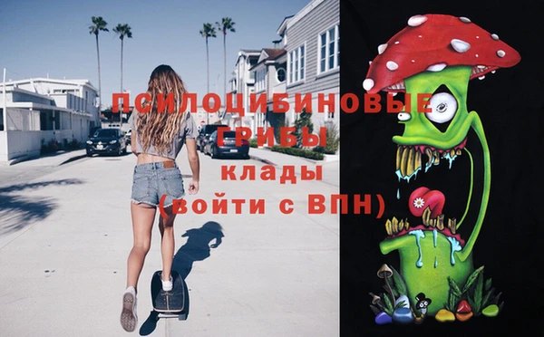 молекула духа Ростов