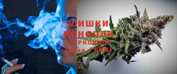 сатива Аркадак