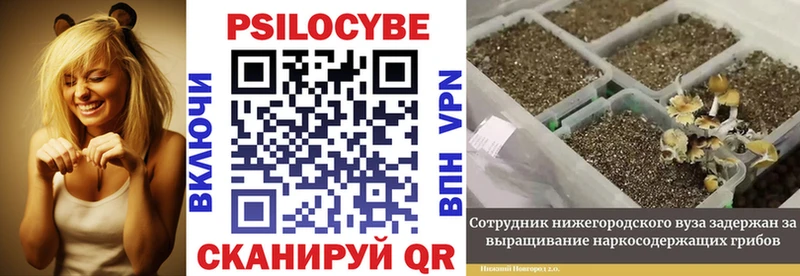 Галлюциногенные грибы Cubensis  Североуральск 